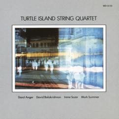 Turtle Island String Quartet: Geosyncline
