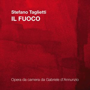 Stefano Taglietti: Stefano Taglietti: Il fuoco