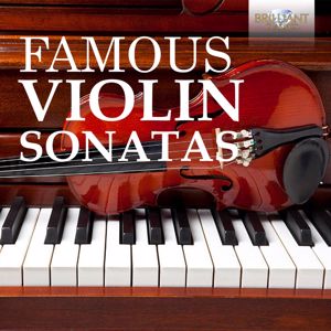 Various Artists: Famous Violin Sonatas