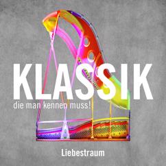 Michael Krücker: Liebestraum (Love Dream)