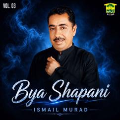 Ismail Murad: Mana Nelan