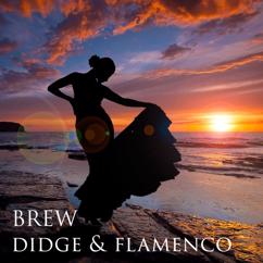 Ash Dargan: Brew Didge & Flamenco