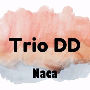 Trio DD: Naca