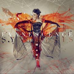 Evanescence: Overture