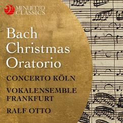 Concerto Köln, Vokalensemble Frankfurt, Ralf Otto: Weihnachtsoratorium, BWV 248, Pt. II: No. 17. "Schaut hin!"