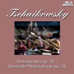 Bamberger Symphoniker, Bronislav Gimpel, Johannes Schüler: Violinkonzert in D Major, Op. 35: III. Finale - Allegro vivacissimo