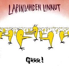 Lapinlahden Linnut: Kalliossa