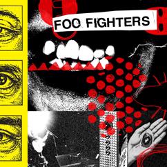 Foo Fighters: Spit Shine