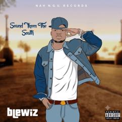 Blewiz: Sounds from the South