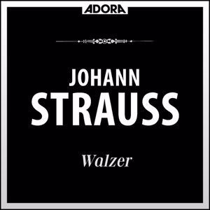 Stuttgarter Philharmoniker, Eduard Strauss: Strauss: Walzer, Vol. 1