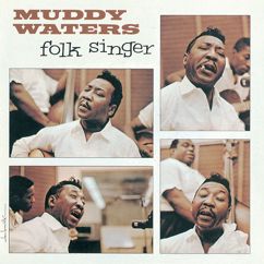 Muddy Waters: My John The Conqueror Root