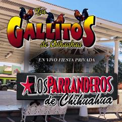 Los Gallitos de Chihuahua, Los Parranderos De Chihuahua: En Vivo Fiesta Privada (2011)