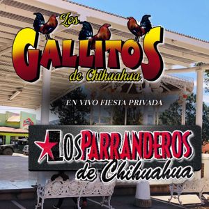 Los Gallitos de Chihuahua, Los Parranderos De Chihuahua: En Vivo Fiesta Privada (2011)