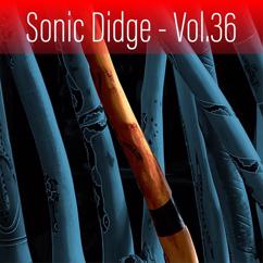 Ash Dargan: Sonic Didge, Vol. 36