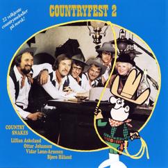 Bjøro Håland: Å, for en Dag