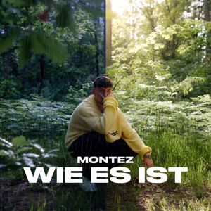 Montez: Wie es ist