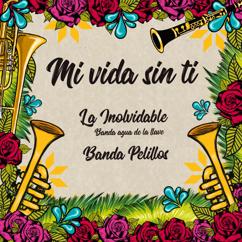 La Inolvidable Banda Agua De La Llave, Banda Pelillos: Mi Vida Sin Ti