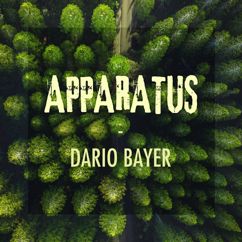 Dario Bayer: Apparatus
