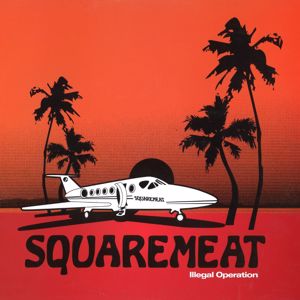 Squaremeat: Illegal Operation