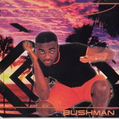 Bushman: No 1 Else (X 10 Ded Mix)