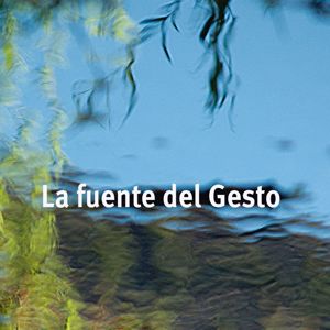Various Artists & Guillermo Lavado: La Fuente del Gesto