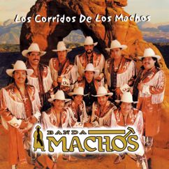 Banda Machos: Los corridos de los machos