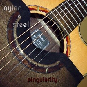 nylon & steel: Singularity