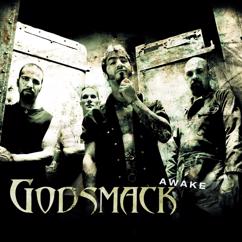 Godsmack: Awake
