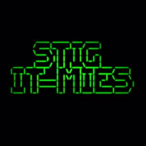 STIG: IT-mies