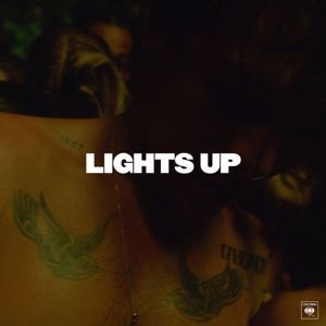 Harry Styles: Lights Up