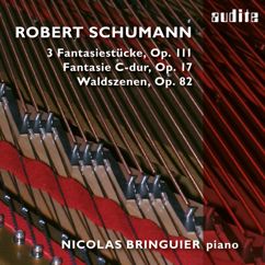 Nicolas Bringuier: Schumann: Fantasie C-Dur, Waldszenen, 3 Fantasiestücke