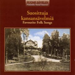 Margareta Haverinen, Jyväskylä Symphony Orchestra: Trad, arr. Panula: Tyttö istui kivellä (The girl sat on a stone)