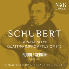 Rudolf Serkin: Piano Sonata in B-Flat Major, D. 960, IFS 594: II. Andante sostenuto