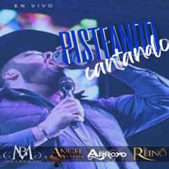 Merce Bojorquez, Angel Yadier, Los Del Arroyo, El Reino: Mi Borrachera (feat. El Reino)