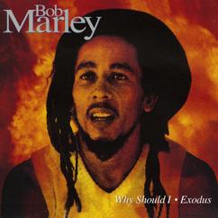 Bob Marley & The Wailers: Why Should I (Bone Dub Mix) (Why Should I)