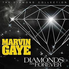 Marvin Gaye: Distant Lover