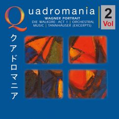 Various Artists, Clemens Krauss, Hans Hotter, Viorica Ursuleac, Georg Hann, Karl Ostertag & Luisa Miller: Richard Wagner: Portrait, Vol. 2