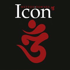 ICON: Never Thought I'd See You Again