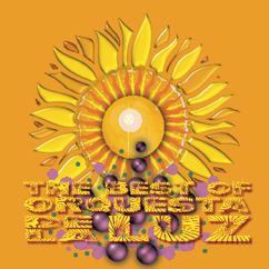 Orquesta De La Luz: The Best Of Orquesta De La Luz