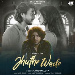 Shahid Mallya: Jhuthe Wade