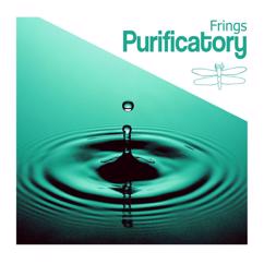 Frings: Groove Stepper