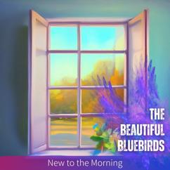 The Beautiful Bluebirds: Luminous Sky Greeting the Day