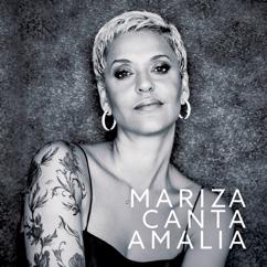 Mariza: Gaivota