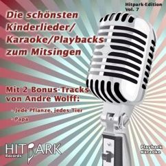 André Wolff: Hörst du die Regenwürmer husten (Instrumental Version)