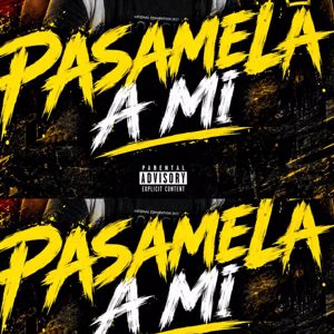 El Riyi: PASAMELA AMI