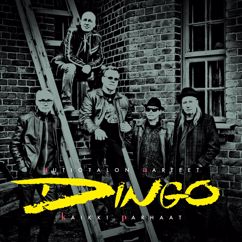 Dingo: Levoton Tuhkimo