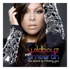 Wildboyz, Ameerah: The Sound of Missing You (feat. Ameerah) (TJ's Candlelight Mix)