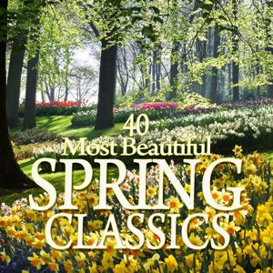 Various Artists: 40 Most Beautiful Spring Classics