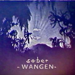 WANGEN: sober