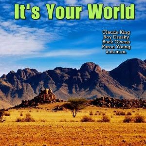 Various Artists: It's Your World